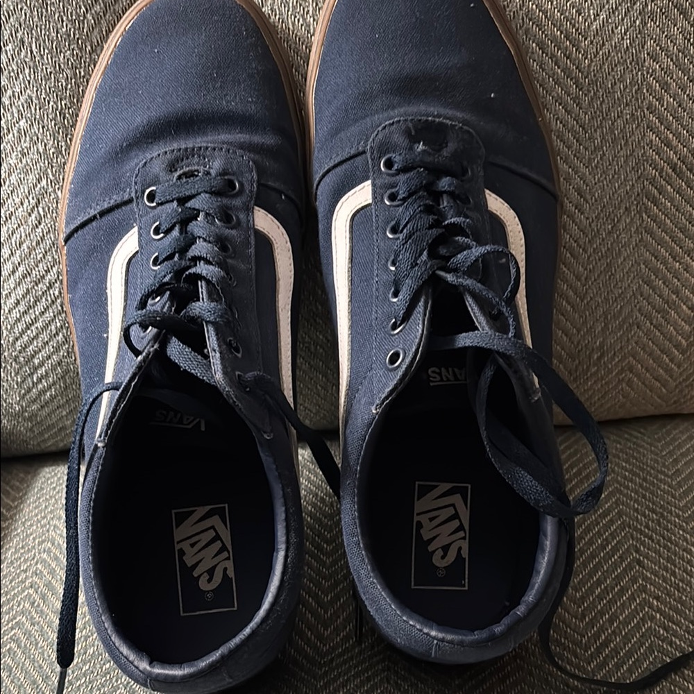 Vans Blue and White Skate Sneakers